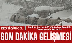 Vanlı Çoban ve 800 Küçükbaş Besni’de Operasyonla Kurtarıldı
