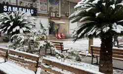 Kızıltepe'de kar yağışı etkili oluyor