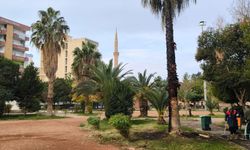 Mardin'de iki parktaki ağaç ve kamelyalara zarar verildi