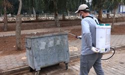 Mardin'de haşerelere karşı ilaçlama çalışmaları sürüyor