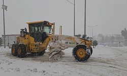 Mardin'de karla mücadele çalışmaları sürüyor