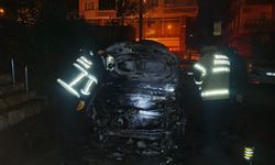 Mardin'de park halindeki otomobilde çıkan yangın söndürüldü