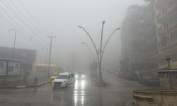 Mardin'de yağmur ve sis etkili oldu