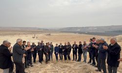 Milletvekili Şahin, Nizip'te incelemelerde bulundu