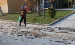 Adıyaman Mimar Sinan Kültür Parkı Bakım İstiyor!