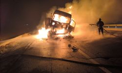 Nusaybin'de çarpışan iki tırdan biri yandı