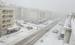Nusaybin'de kar yağışı etkili oluyor