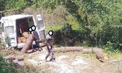 Ormanlarda Kaçak Kesimlerle Mücadele Devam Ediyor