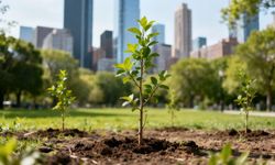 Sağlıklı kentler için, sağlıklı topraklar lazım!