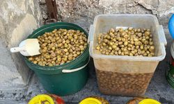 Şanlıurfa'da 1 ton bozulmuş zeytin ele geçirildi