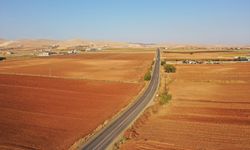 Şanlıurfa'da çiftçilere kuraklığa dayanıklı tohum önerisi