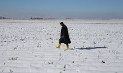 Şanlıurfa'da etkili olan kar yağışı çiftçiye umut oldu