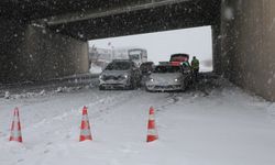 Şanlıurfa'da kar ve tipi nedeniyle bazı yollar trafiğe kapatıldı