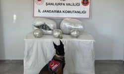 Narkotik operasyonunda 1 şüpheli yakalandı