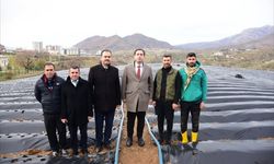 Sason Kaymakamı Başar çilek üreticilerini ziyaret etti