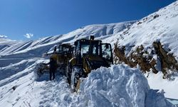 Sason'da kardan temizlenen 20 yerleşim yerinin yolu ulaşıma açıldı