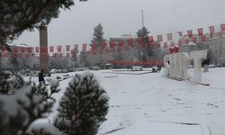 Siirt'te kent merkezine mevsimin ilk karı yağdı
