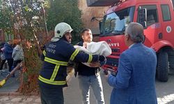 Siirt'te çıkan iki yangın söndürüldü