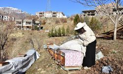 Arıcılık sayesinde 5 çocuğunu üniversitede okuttu