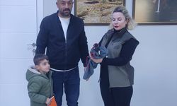 Şırnak'ta bitkin bulunan sakarmeke kuşu tedavi altına alındı