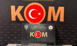 Şırnak'ta kaçakçılık operasyonlarında 1 zanlı tutuklandı