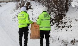 Sivas'ta trafik polisleri yaban hayvanlarını unutmadı