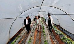 Tarım lisesinde üretilen mantarın hasadı yapıldı