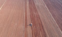 Toprak ve su kaybı, geleceği doğrudan tehdit ediyor