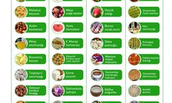 Türkiye’nin AB Tescilli Ürünleri 44’e Yükseldi