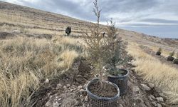 Türkiye'nin en kirli havası Iğdır'da...
