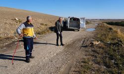 Adıyaman'da Yaralı Tilki Tedavi Edilip Doğaya Bırakıldı