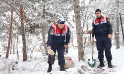 Yozgat'ta yaban hayvanları için doğaya yem bırakıldı