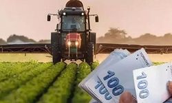 Tarımsal Destek Ödemeleri Hesaplara Yatırılıyor