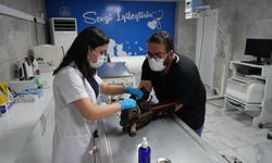 Adıyaman Belediyesi 2025’te Patibulansla Sahadaydı