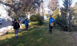 Adıyaman park ve refüjlerinde gübreleme ve çimleme çalışması