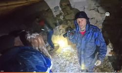 Adıyaman’da besi çadırı çöktü: 17 hayvan kurtarıldı