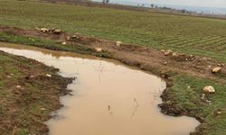 Çakırhüyük'te Keysun Çayı yeniden akmaya başladı
