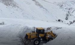 Adıyaman İl Özel İdaresi'nden karla mücadele çalışması