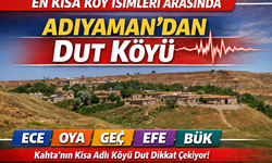 En Kısa Köy İsimleri Arasında Adıyaman’dan Dut Köyü