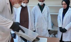 Adıyaman Üniversitesi'nden çiftçilere toprak analizi desteği