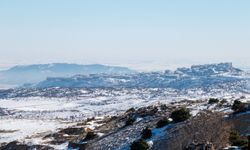 Adıyaman'da karda aç kalan yaban domuzları İndere bolgesine indi - Videolu Haber