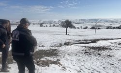 Adıyaman'da yaban hayvanları için doğaya yem bırakıldı