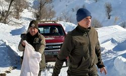 Çelikhan'da yaban hayvanları için yem bırakıldı