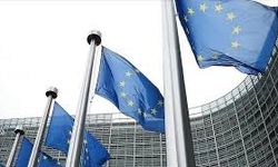 Gümrük Birliği’nde Çapraz Kümülasyon Düzenlemesi