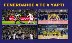 Fenerbahçe Dört Branşta Zirve Gecesi Yaşadı