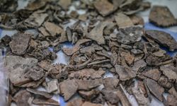 Ergani'de 12 bin yıllık yaşamın izleri inceleniyor