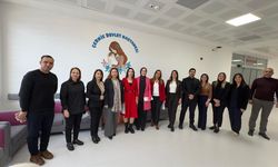 Çermik Devlet Hastanesi 'Anne Dostu Hastane' Oldu