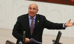 Tanal: 'Siverek'in hayvancılık potansiyeli heba ediliyor'