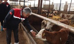 Daire Başkanı Taşkın'dan hastalıktan ari işletme incelemesi