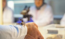 Dicle Üniversitesine akrep hibe edildi